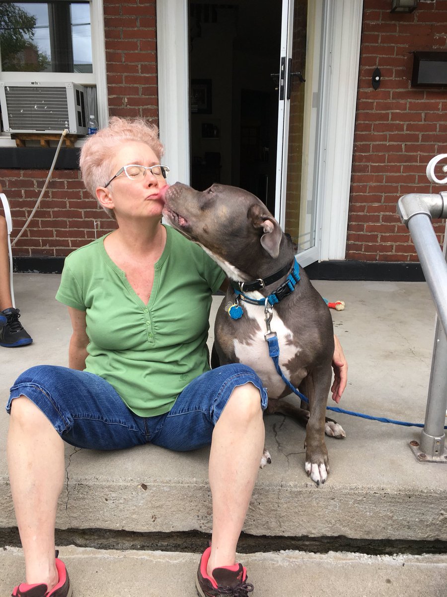 bighead_bruce's tweet photo. I MADE A NEW FRIEND TODAY!!! HER NAME IS SARAH AND SHE LET ME GIVE HER KISSES!!! #newbff #comebacksarah https://t.co/3EP44iSXSZ