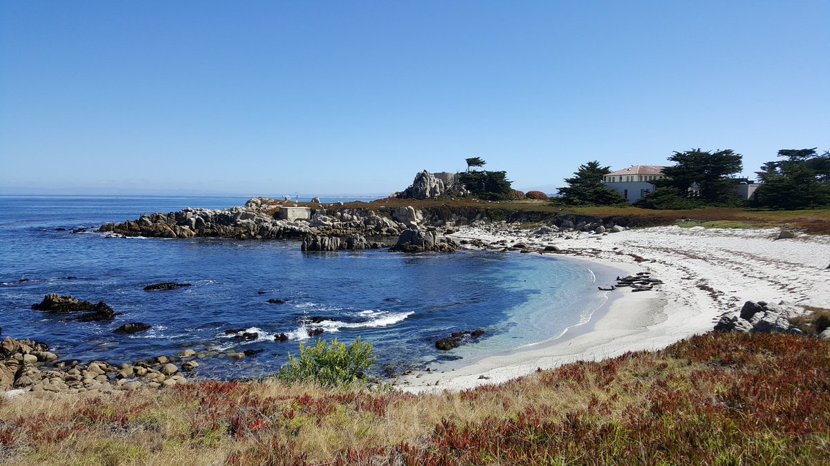 DrRyanYoung's tweet photo. Goodbye Monterey Bay. Thanks for the hospitality. #DSBS2018 https://t.co/huRKU5eOaE