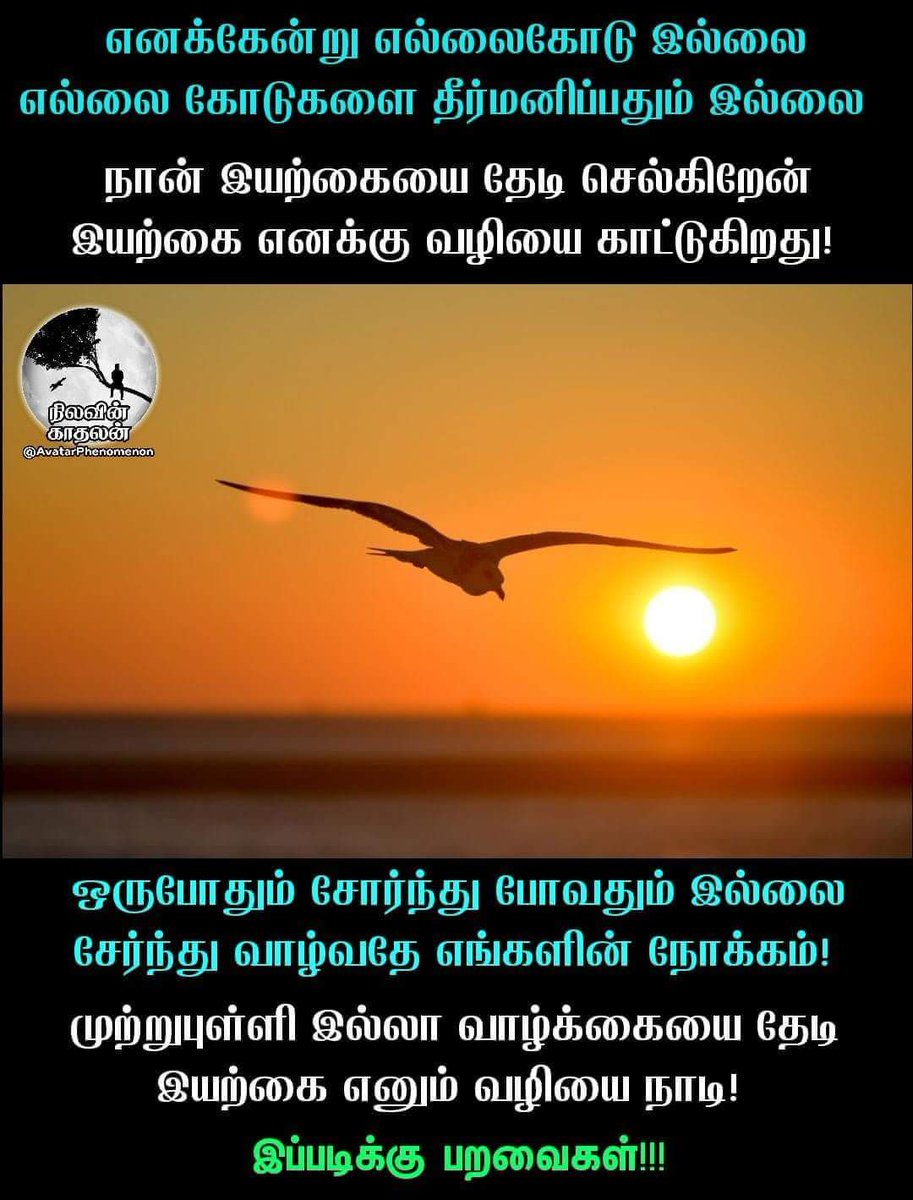 Uvan_Yaal's tweet photo. 🚶‍♂️🚶‍♂️🚶‍♂️🚶‍♂️🚶‍♂️🚶‍♂️🚶‍♂️🚶‍♂️🚶‍♂️......
#இயற்கை #வாழ்வியலைதேடி #பறவைகள் #இயற்கையின்மீட்சி https://t.co/2ctF7cuvbv