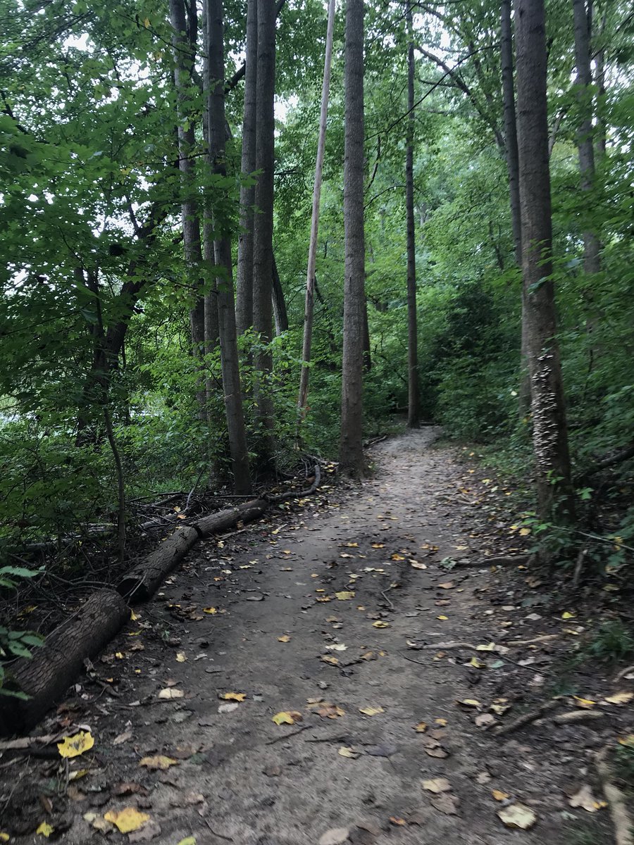 akkleis's tweet photo. I did my @SierraClub #BackyardDay 10K, and added an extra 1K. It’s humid! https://t.co/1ViU0kpke4