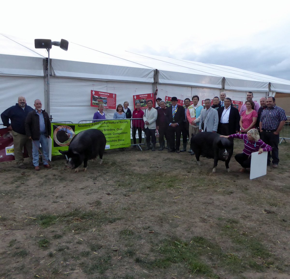 British Pig Assoc tweet media