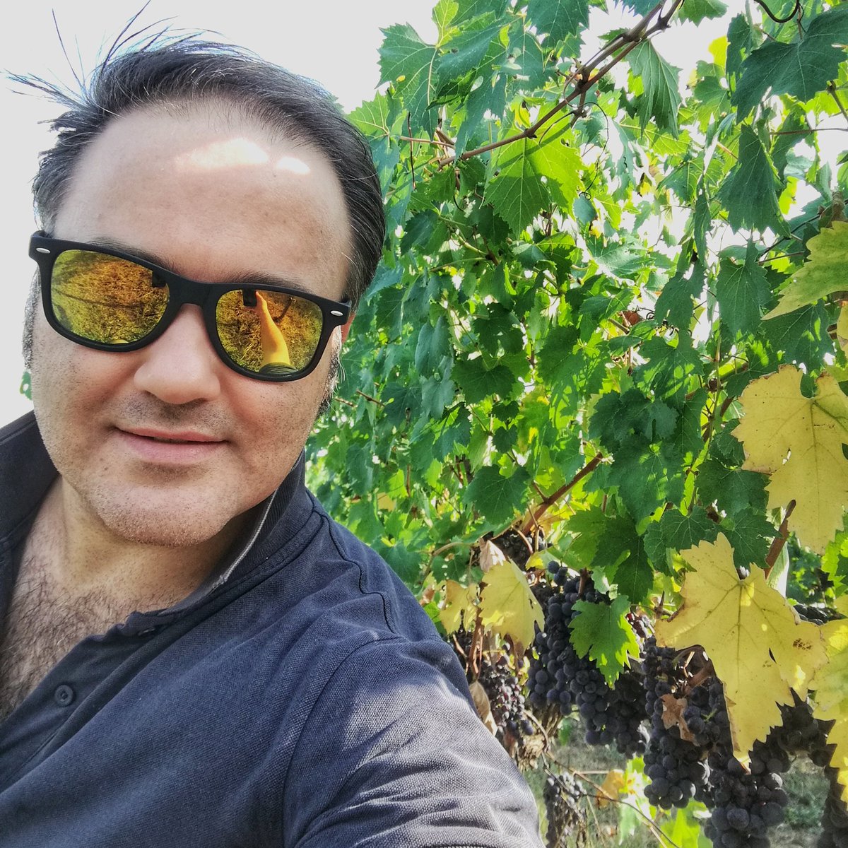 Today I was a #guest of my #friends of <a href="/FattoriaSanVito/">Fattoria San Vito</a> in Calci, Tuscany🙏🏻❤️ I attented in the #Harvest 🍇 removing from the plant the #grapes that will become #wine!😍Amazing!
#winelover #winetasting #winecountry #winemaking #vendemmia #vinoperpassione