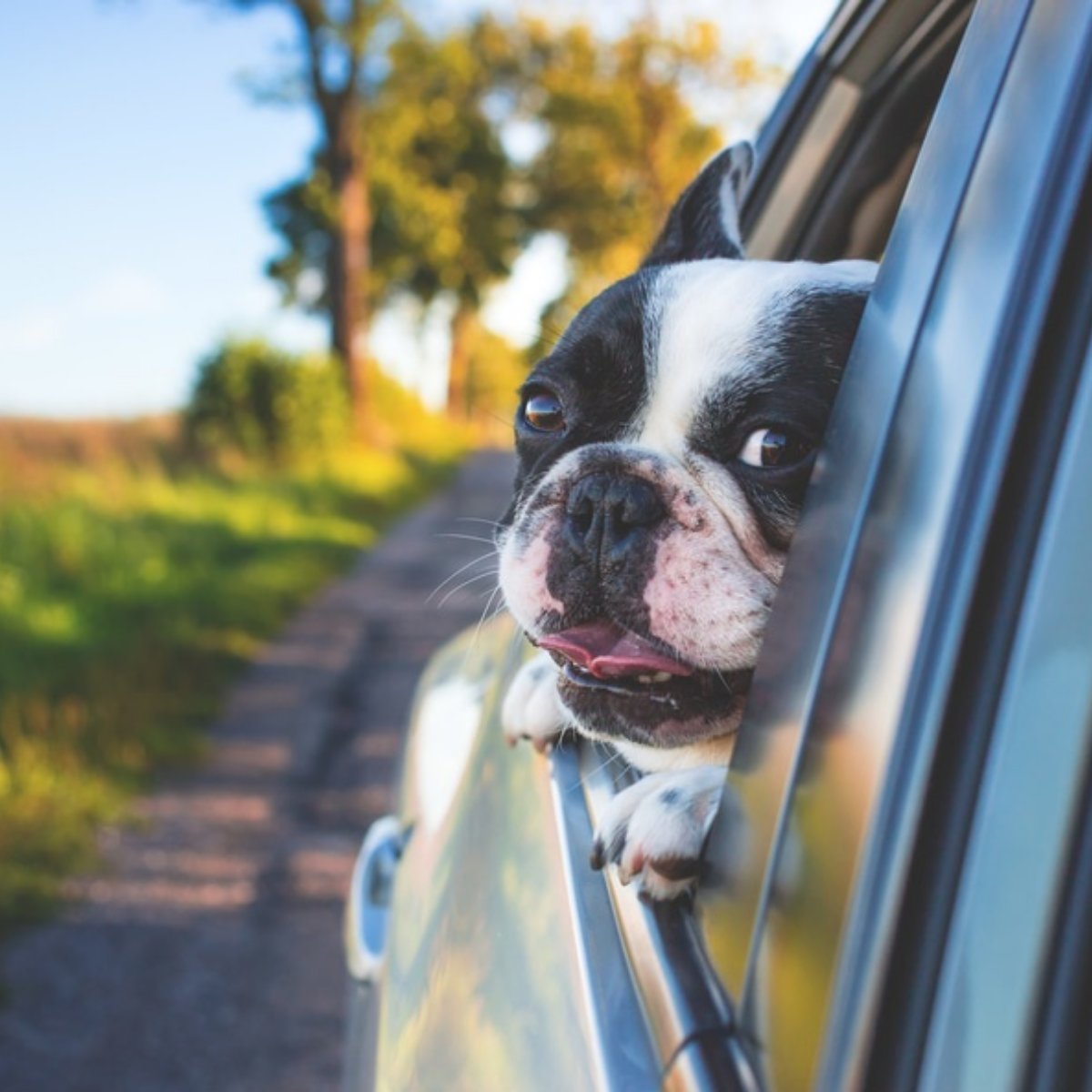 Durham Vlg Garage (durham_garage) Twitter