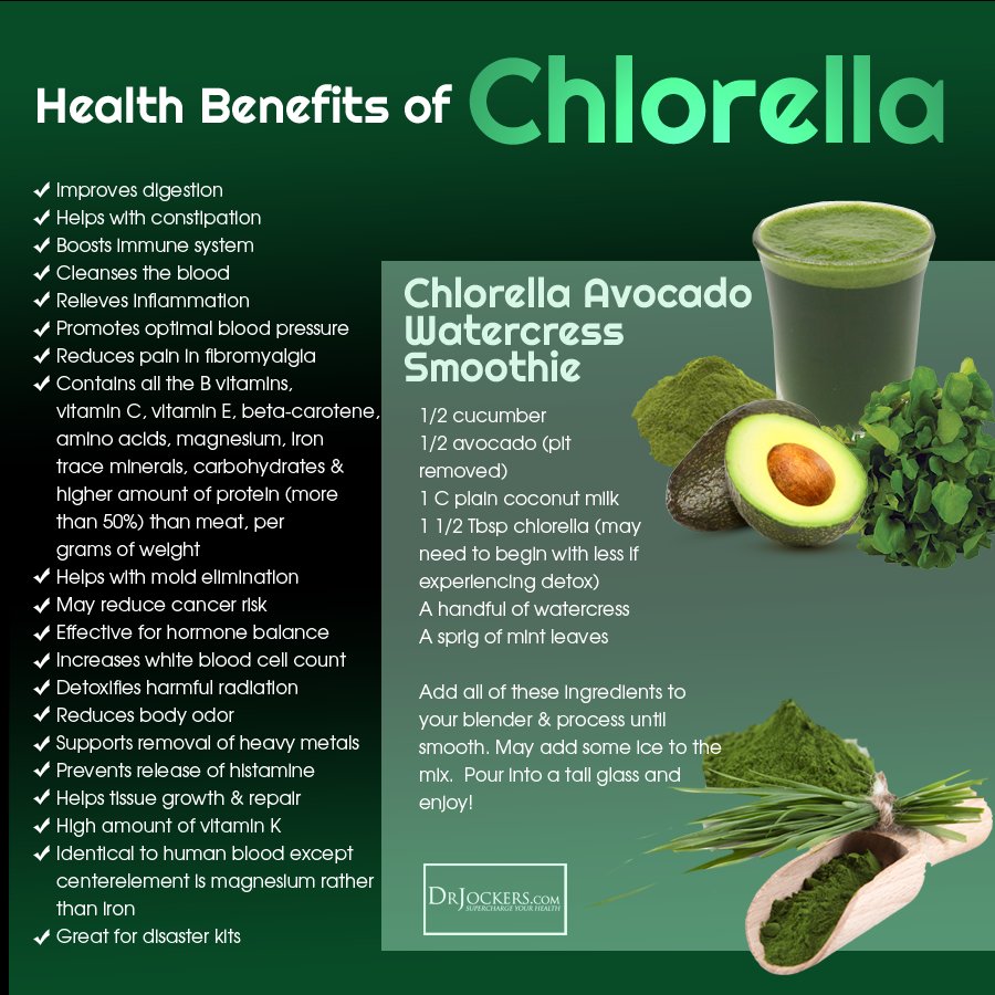 Why Take the Supplement called Chlorella Much more chlorophyll than any