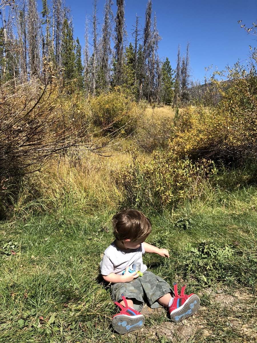 BananaRaptor's tweet photo. Someone’s been enjoying himself 💙 #familycampingtrip #colorado #elkcreekcampground #jackalan https://t.co/dr6jTlmrRk