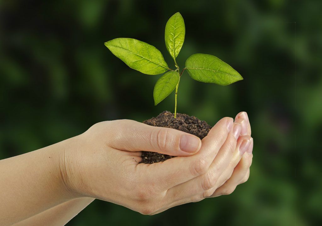 glpfilms's tweet photo. Is your #travel brand considering carbon offsetting and #climateaction projects?
READ THIS: How to Develop a #CarbonOffsetProgram https://t.co/2GGh67zUry via @adventuretweets https://t.co/PucSnoYBrv