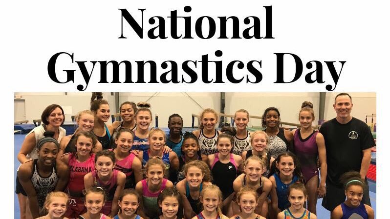 JamJev Gymnastics tweet media