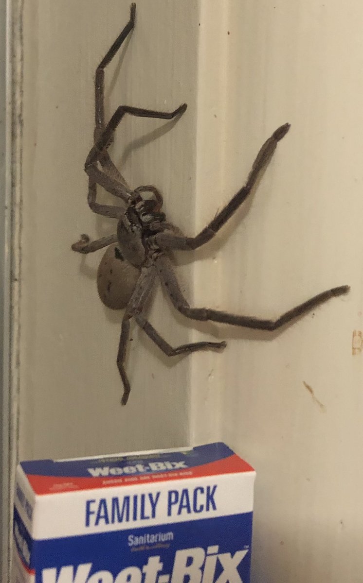 Dave Jory tweet media