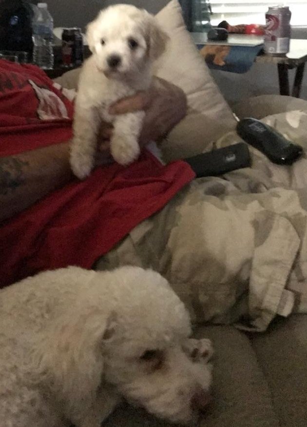 Meet Harley Rudy's new baby brother.