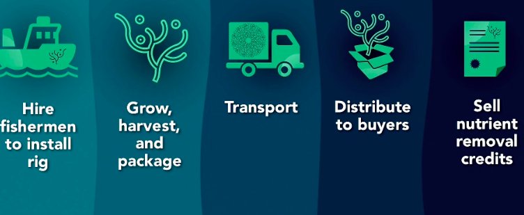 hultprize's tweet image. &quot;Think of seaweed as nature&apos;s solar panel&quot; Phyta @UNC #HP18 #HultPrize #PowerForGood #UN6 #HP19 #UNHult