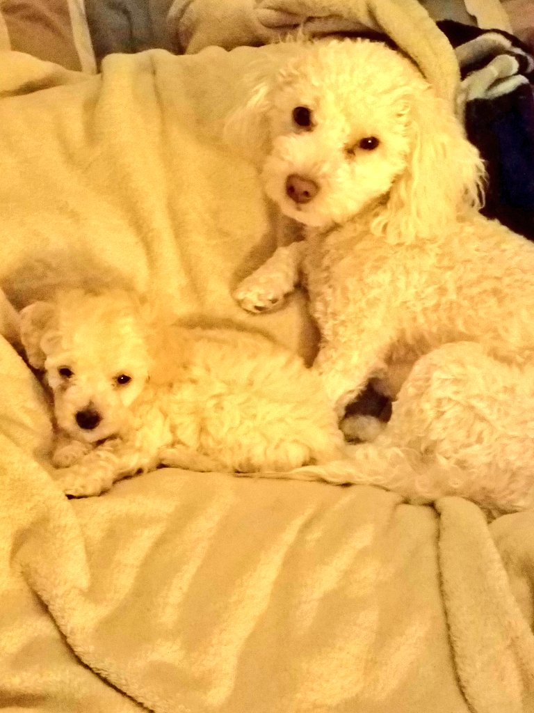 How cute are my boys.