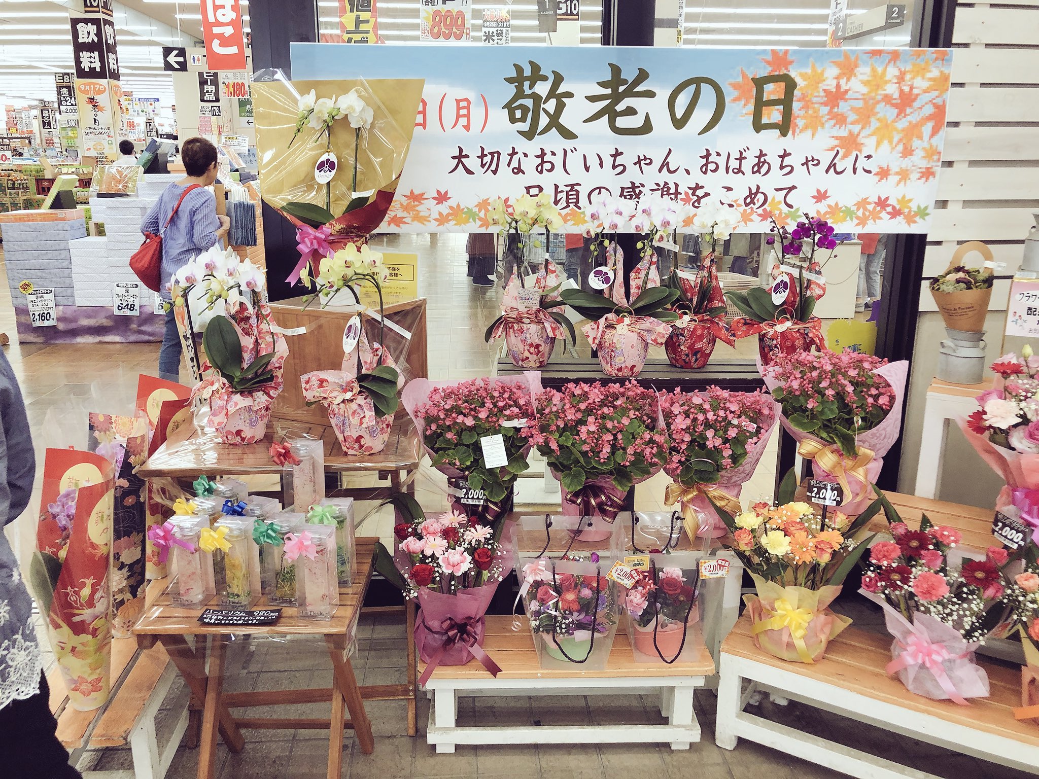 ジョイフル本田 ガーデンセンター 幸手店ガーデン館 埼玉 いよいよ明日は敬老の日 日頃お世話になっている 大好きなおじいちゃんおばあちゃんに お花を贈ってみませんか ホームセンター切り花売り場でも 胡蝶蘭を販売しております 敬老の
