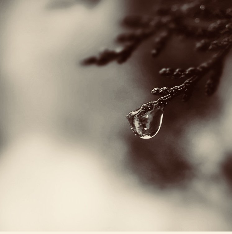 Adeem_A_M's tweet image. أكرهها تلك الدمعة العالقة ما بين الخد و الروح.