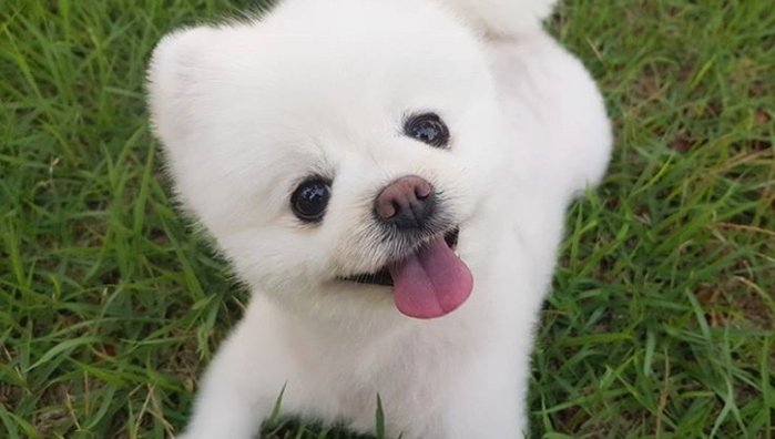 사는 것이 힘이 들 때가 있습니다. 
나 혼자 이런 시련을 당하고 있는지 모른다 라는 
생각을 하게 될 때도 있습니다. 
그러나 잠시 뒤를 돌아본 다면 우리는 참 많은 
시련을 잘 이겨내어 왔답니다.

#매일아침 #좋은글 아침고요좋은글
morningletters.storyshare.co.kr 
lifecoo83.tistory.com