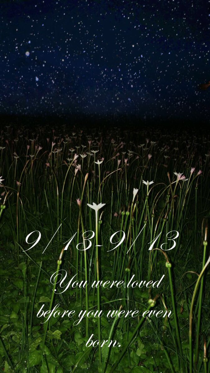 Stephm0913's tweet image. My Beautiful baby❤️  Araya was just to perfect for this world.