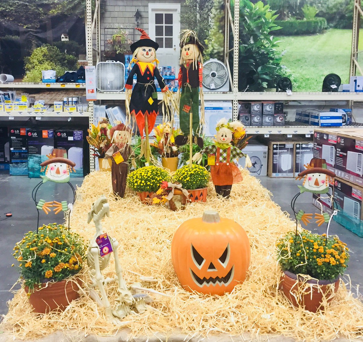 melindawhite73's tweet photo. Loving our new display at #8419. #fall #pumpkinsarecoming #orangegoodness @JDDunwood @Donohoo_C https://t.co/GmrKmNGfXj