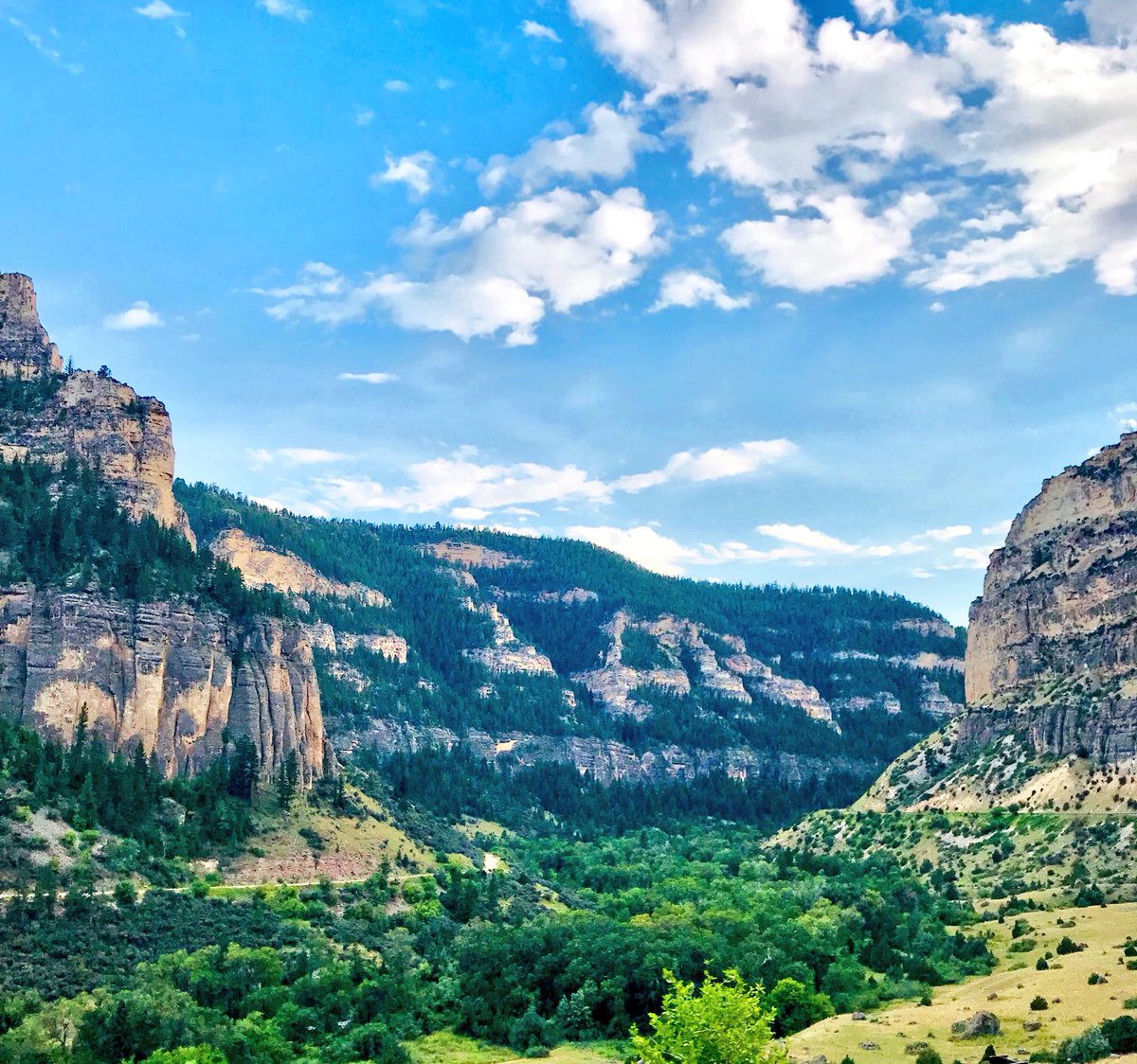 TheCabinLifeWI's tweet photo. I see you @wyomingtourism ! I’m coming back next week to soak it all in again. Miss ya, see you soon. #projectelk #fillmyfreezer https://t.co/uqimwqsNaO