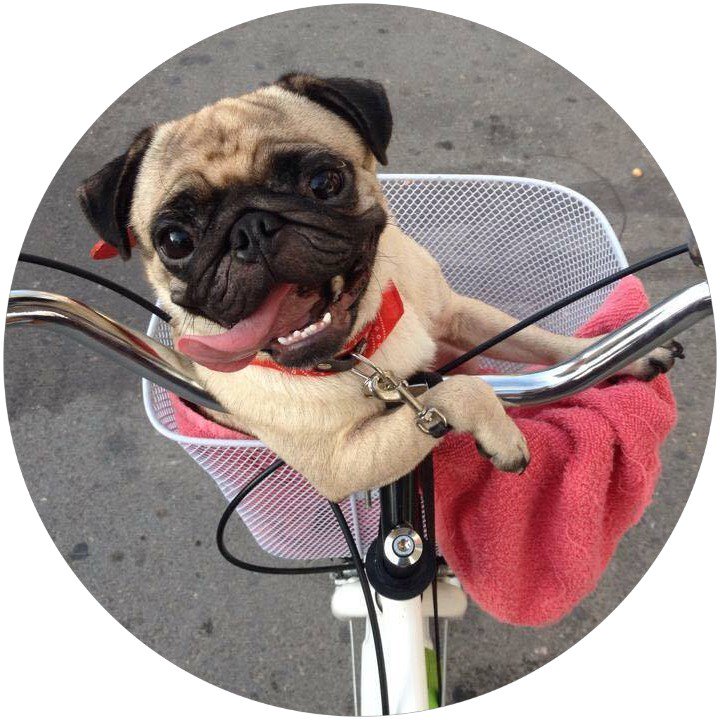 Pixán Comida Ancestral tweet media