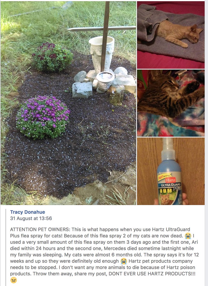 hartz dog shampoo dangerous