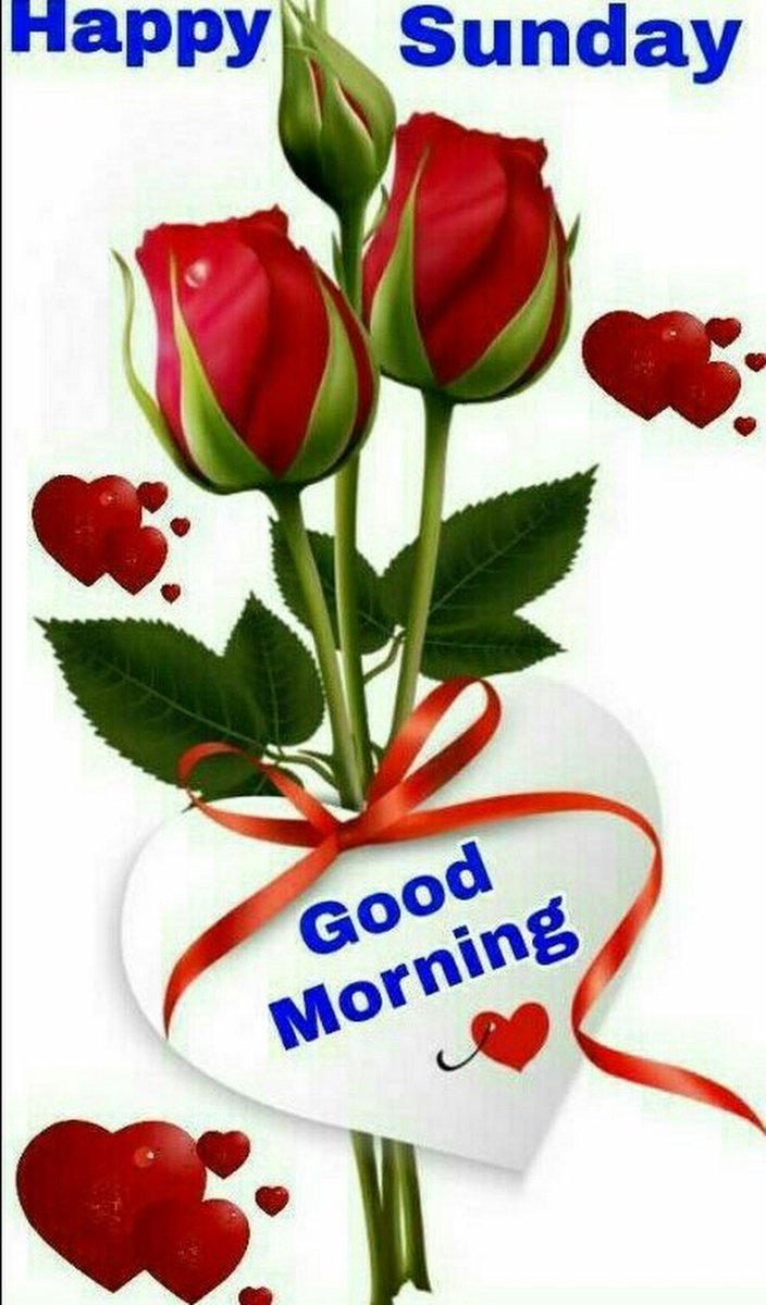 Ajit R Vaidya A On Twitter Gauri H16 Good Morning Happy Sunday