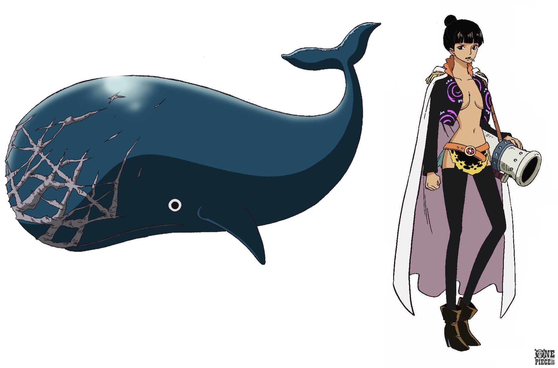 One Piece Com ワンピース One Piece Com ニュース 本日誕生日キャラクターをチェック T Co Gyd1u0h0b1 T Co Zybqrn1lsw Twitter