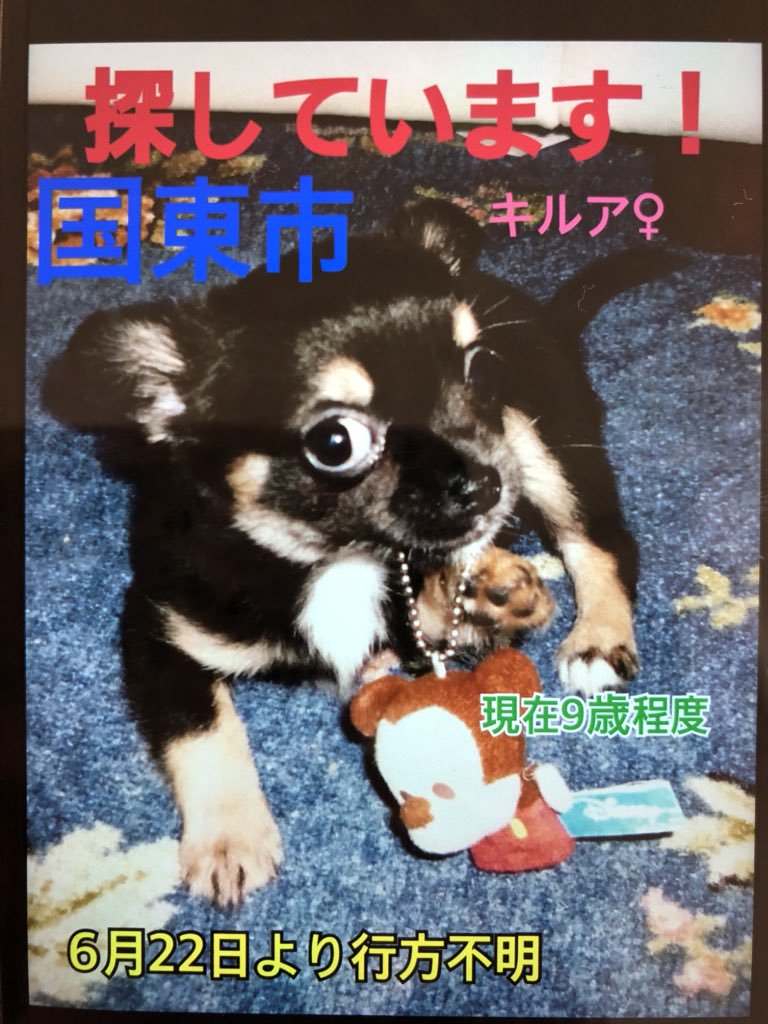 にく Niku Niku C Twitter にく Niku Niku C Twitter