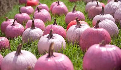 mikePellaNY's tweet photo. Some more Pink Pumpkins for our HDE Community Event!! Encourage all to #gotchecked https://t.co/IlhZPVnsuz