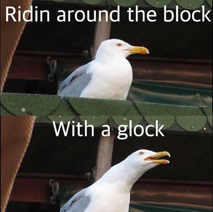 NickMoCat's tweet image. Hit