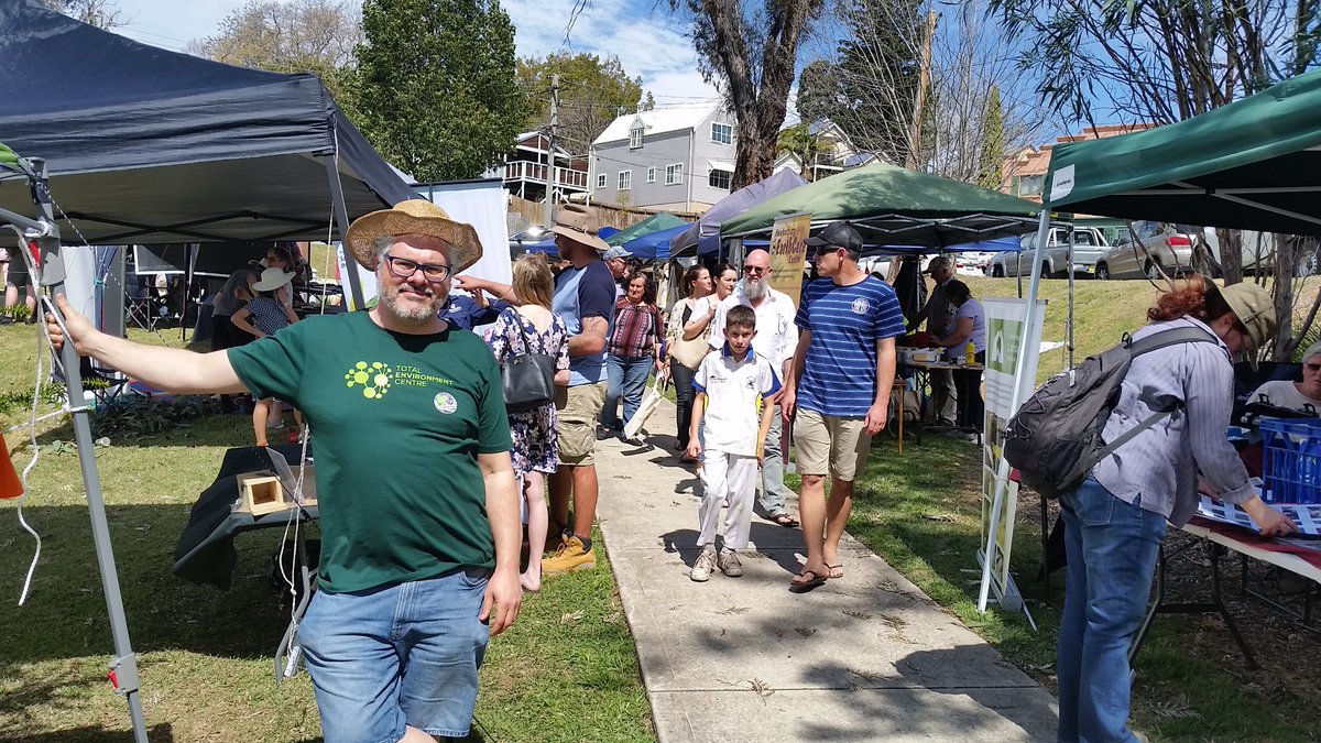 totenviro's tweet photo. #Koalas in the Blue mountains coming down to the Hawkesbury, #Kurrajong celebrating with a Koala festival put on by the Hawkesbury Environmental Alliance and Council. #SaveOurKoalas #sosgreenspaces #nswpol https://t.co/kmaO3xfajO