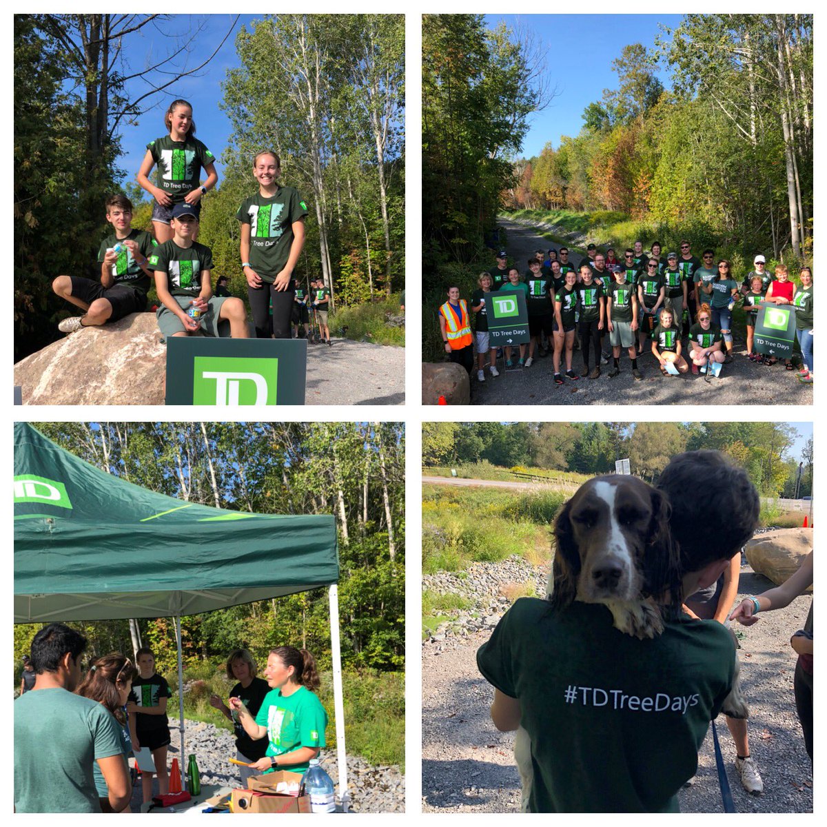 #tdtreedays #thereadycommitment <a href="/MichelleW_TD/">Michelle Wilson</a>