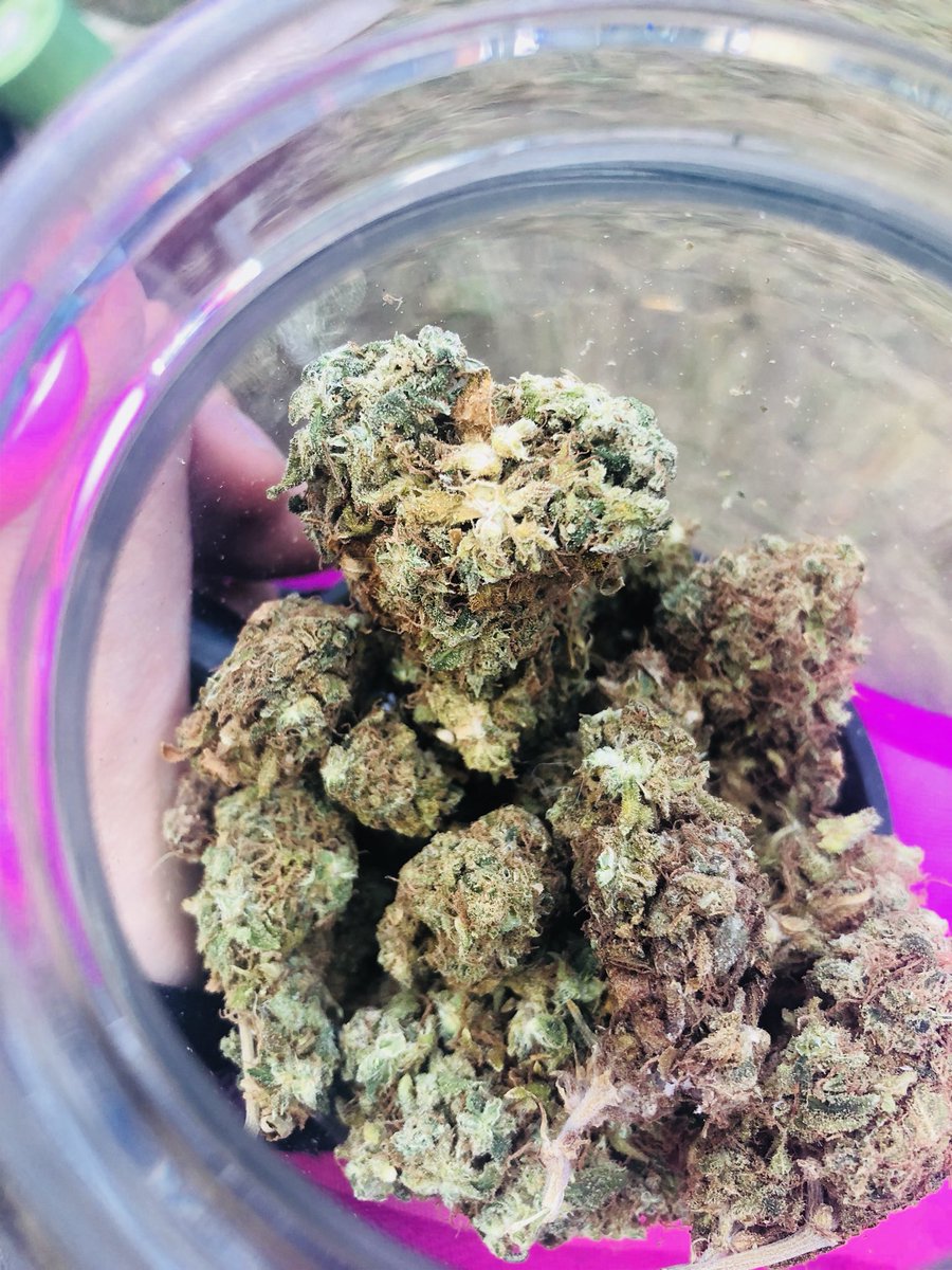 martykacula21's tweet photo. #weed #cannabisculture https://t.co/6fUdaTYSsc
