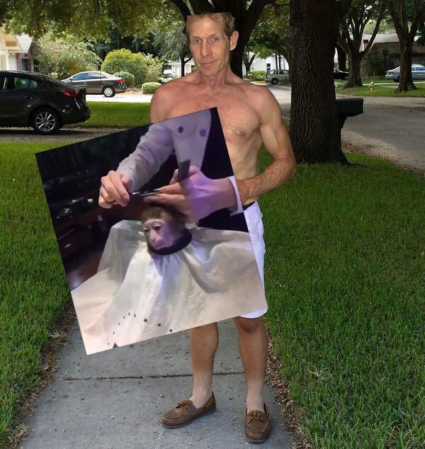 Gavin Belson tweet media