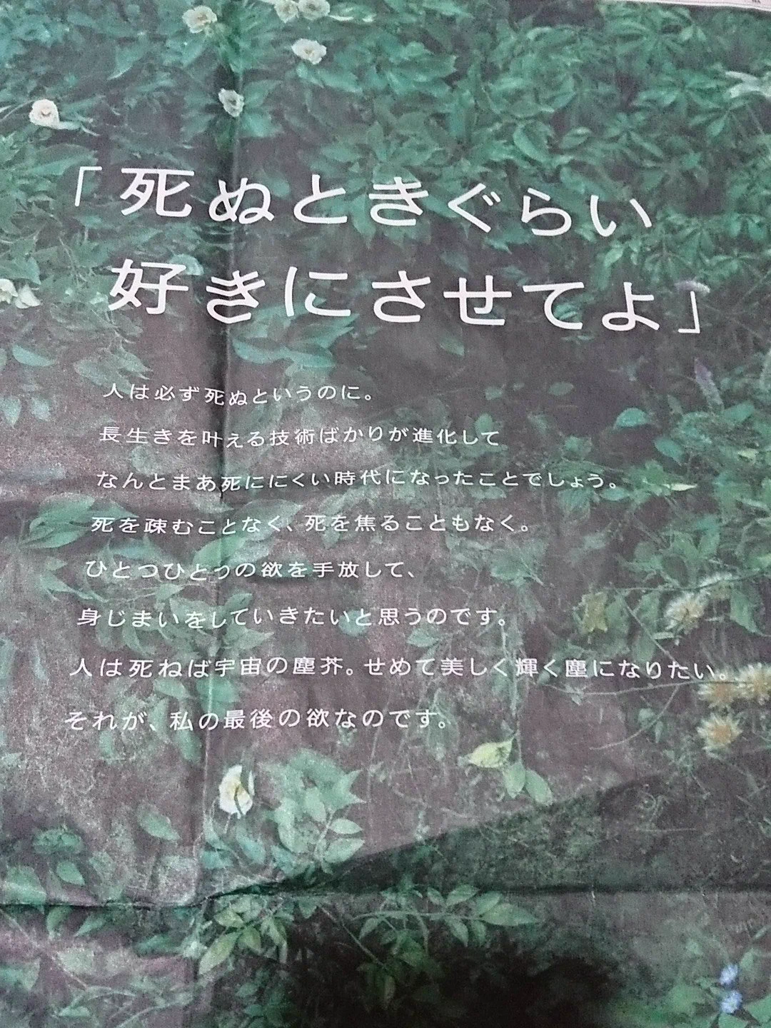 樹木希林さんのこの言葉がとても印象深い…ご冥福をお祈りします。