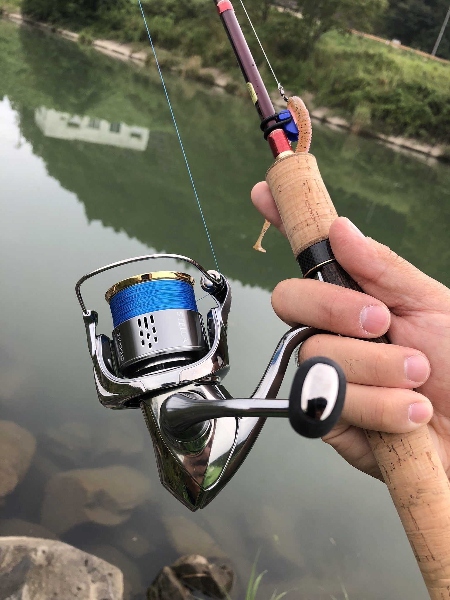 Y K Twitterissa 先日購入したワールドシャウラ のスピニング ワールドシャウラ にはあのリールでしょ 完全にkさんの影響 ということで 新しい相棒 ステラc2500hgs この組み合わせは美しすぎる 本当に美しすぎる よし 海に川に野池にダムに フル活用