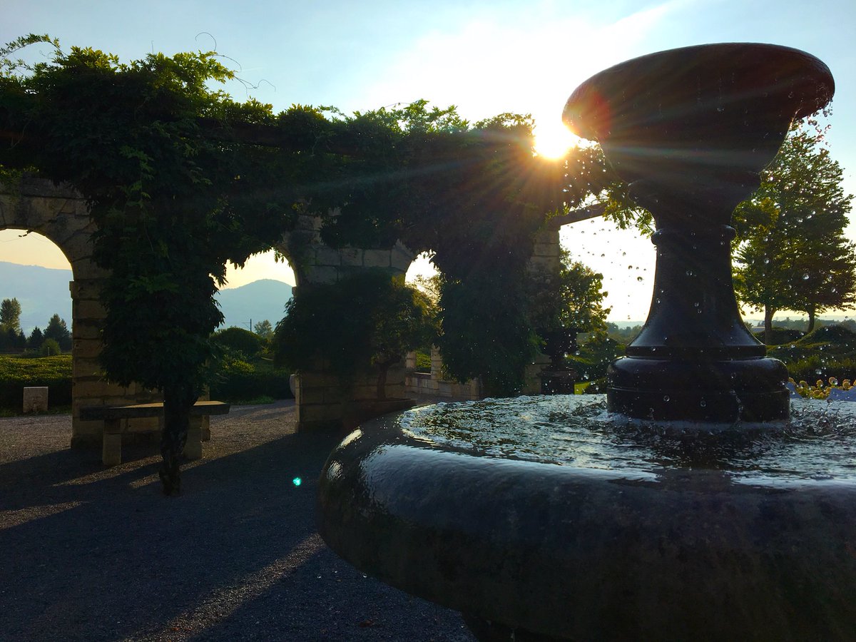 Das Gute an anspruchsvollen Freunden: Sie wählen ihre Partylocation mit Bedacht.

#Enea #landscapearchitecture  #baummuseum