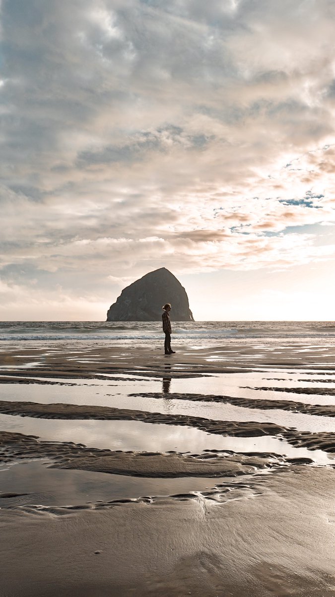 maka_studios's tweet image. Exploring the Oregon Coast🌅 #vanlife