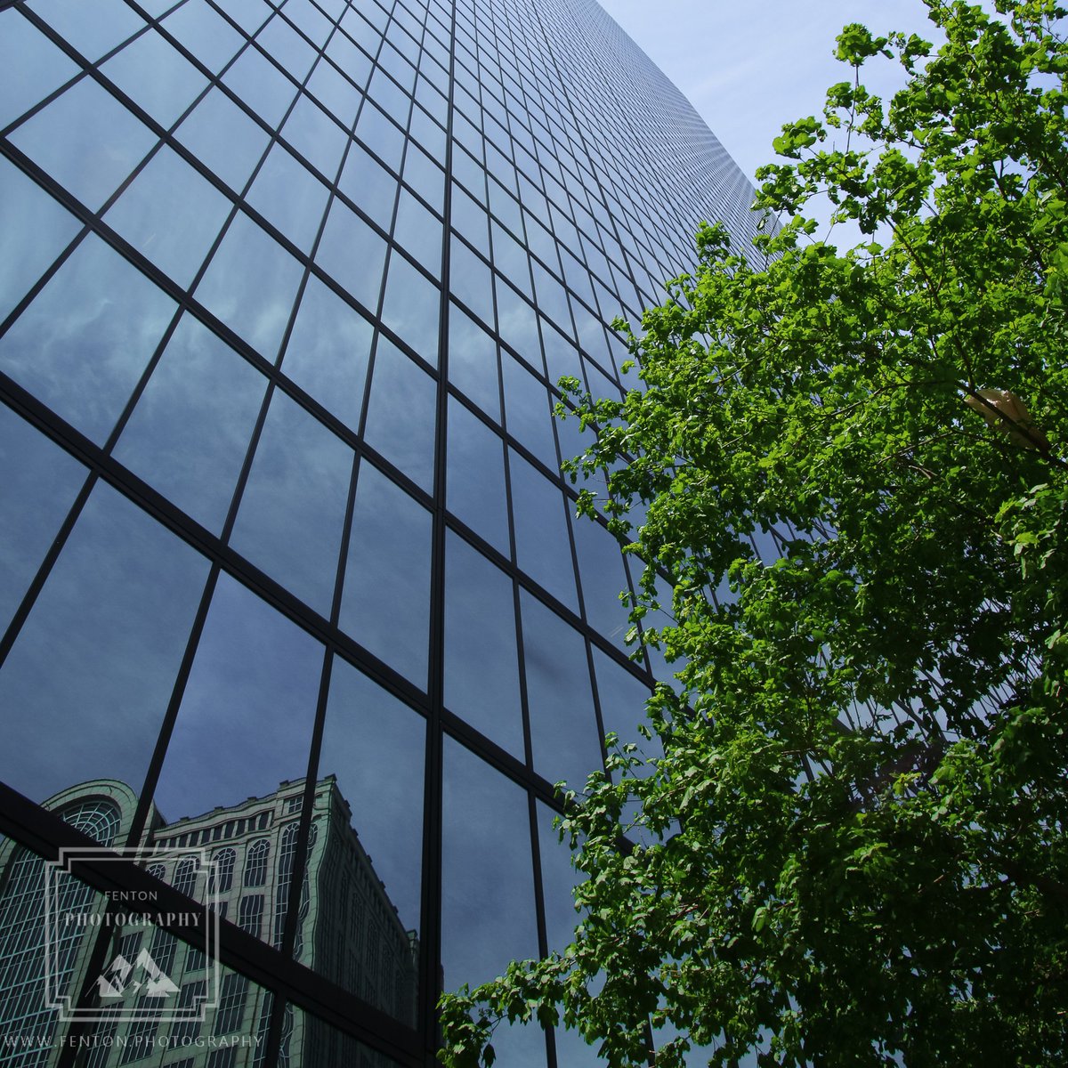 FentonPhoto's tweet photo. Looking up the mirrored side of the Hancock building in Boston.
#building #architecture #mirror #reflection #hancock_building #green_tree #exterior #boston_massachusetts #city_view @VisitBostonCity https://t.co/MxrkgHRLf5