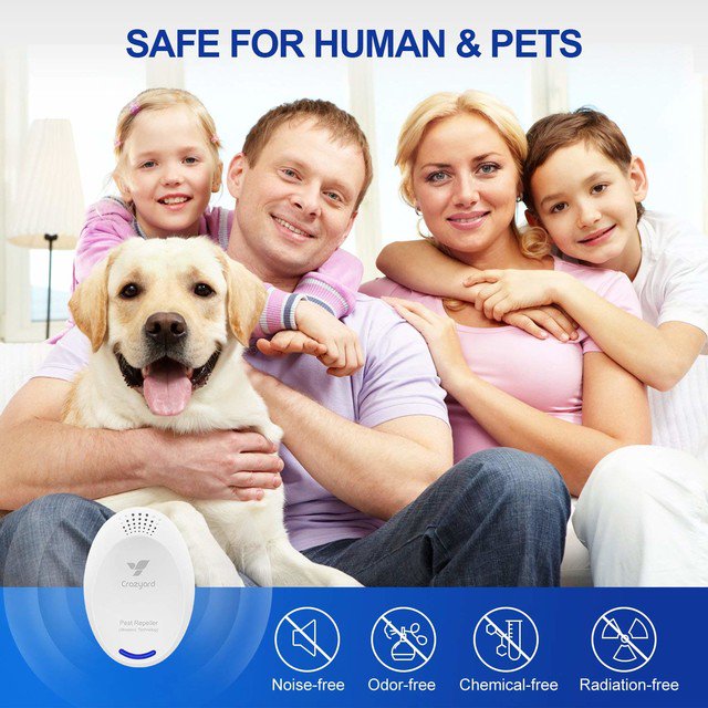 SleekDeals's tweet photo. 🔥 Must-Have for Home &amp; Office!

Cheaper than Hospital bills and medication for you &amp; your family!

*Safe &amp; Harmless!

*Buy now, get 4 pack at 70% with Code: IWZ6TPWY

https://t.co/70GmnqspQP

#ultrasonicpestrepeller #healthyliving #tech #news #pestrepeller #petcare https://t.co/CmyXLNzgnJ