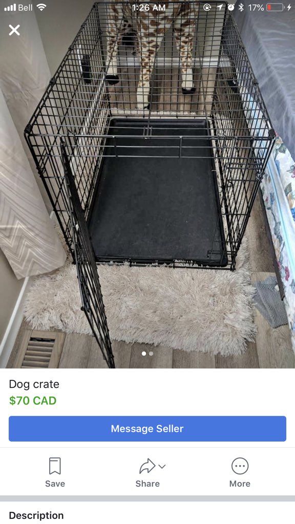 venessaaaaaa's tweet photo. @lemegamarissa I had two crazy masters of escape and I had to use a dog kennel like these but I also heard the other picture I’ll show you works wonderful , onyx was crazy lol and was quite the destroyer https://t.co/MsEb5MyEVE