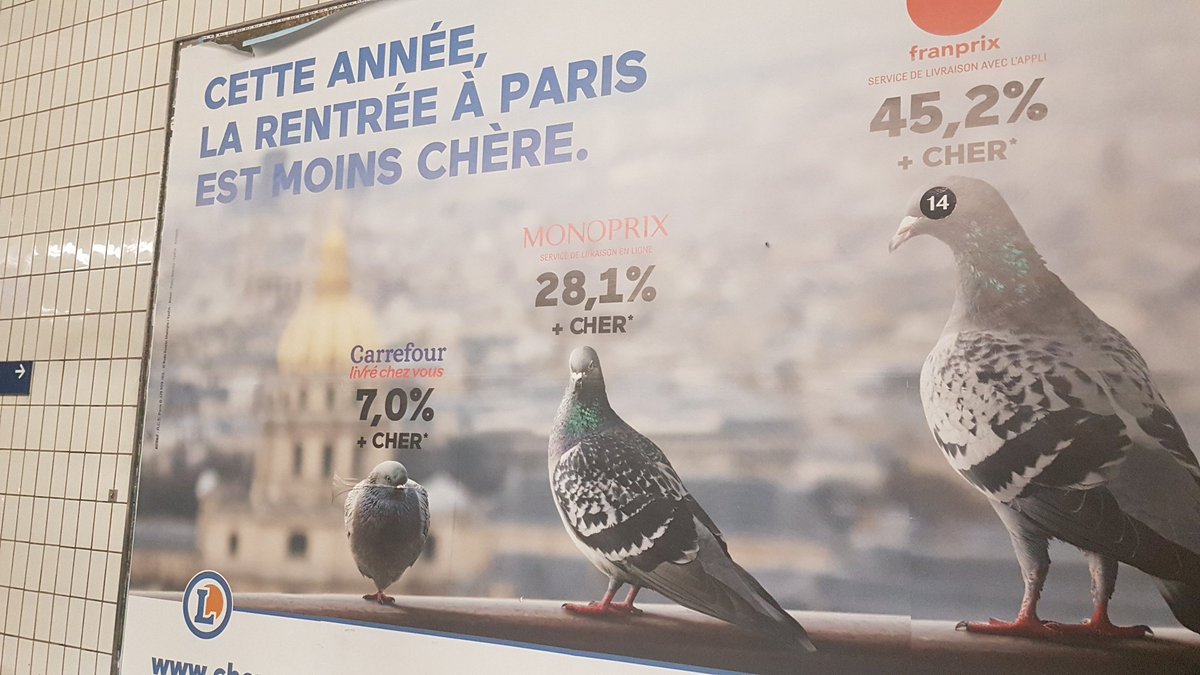 Jehan Charlemagne tweet media