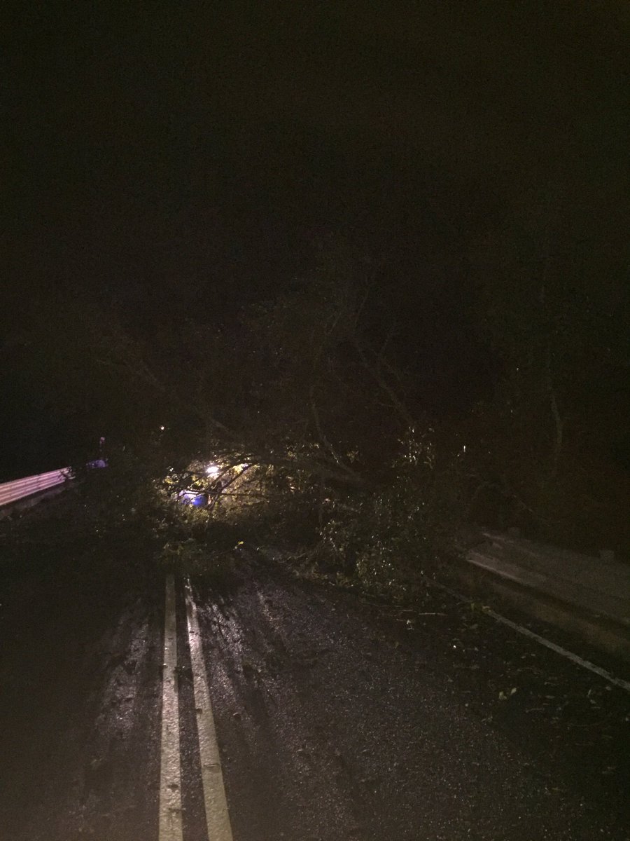 Tree down on bridge with power lines tangled into the limbs!  just after turning onto Due West Hwy in Anderson sc. <a href="/wyffnews4/">WYFF News 4</a>