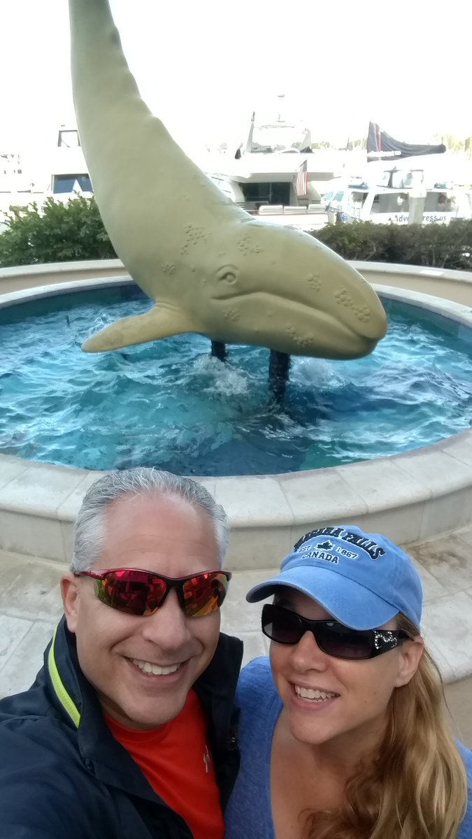 DavidSanchezPMP's tweet photo. Took in and exciting and scenic whale watching tour while in San Diego but what we saw looked a bit different than the pics on the tour company's website! #goodtimesinsd, #30years@IPM, #blessed https://t.co/6ZhsrwfVIr