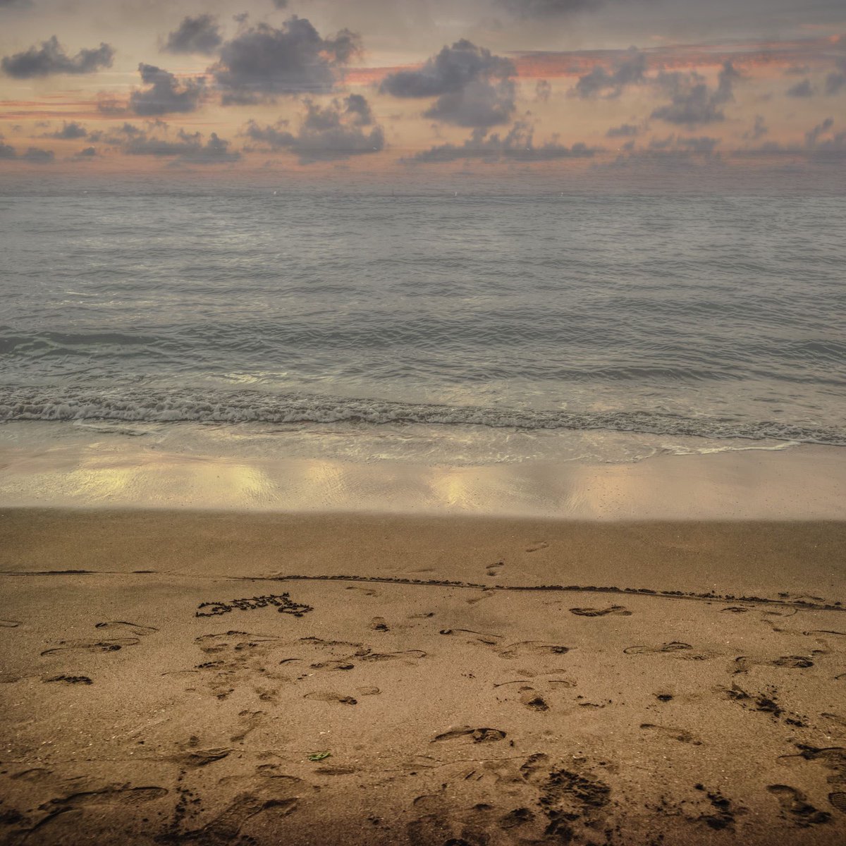 여름이 지나간 자리