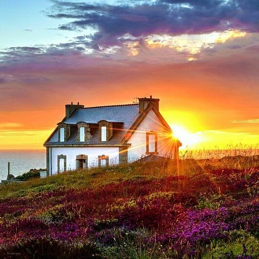 Bianca15048017's tweet photo. Good morning my lovely twitter friends / world https://t.co/RrPQALjluH