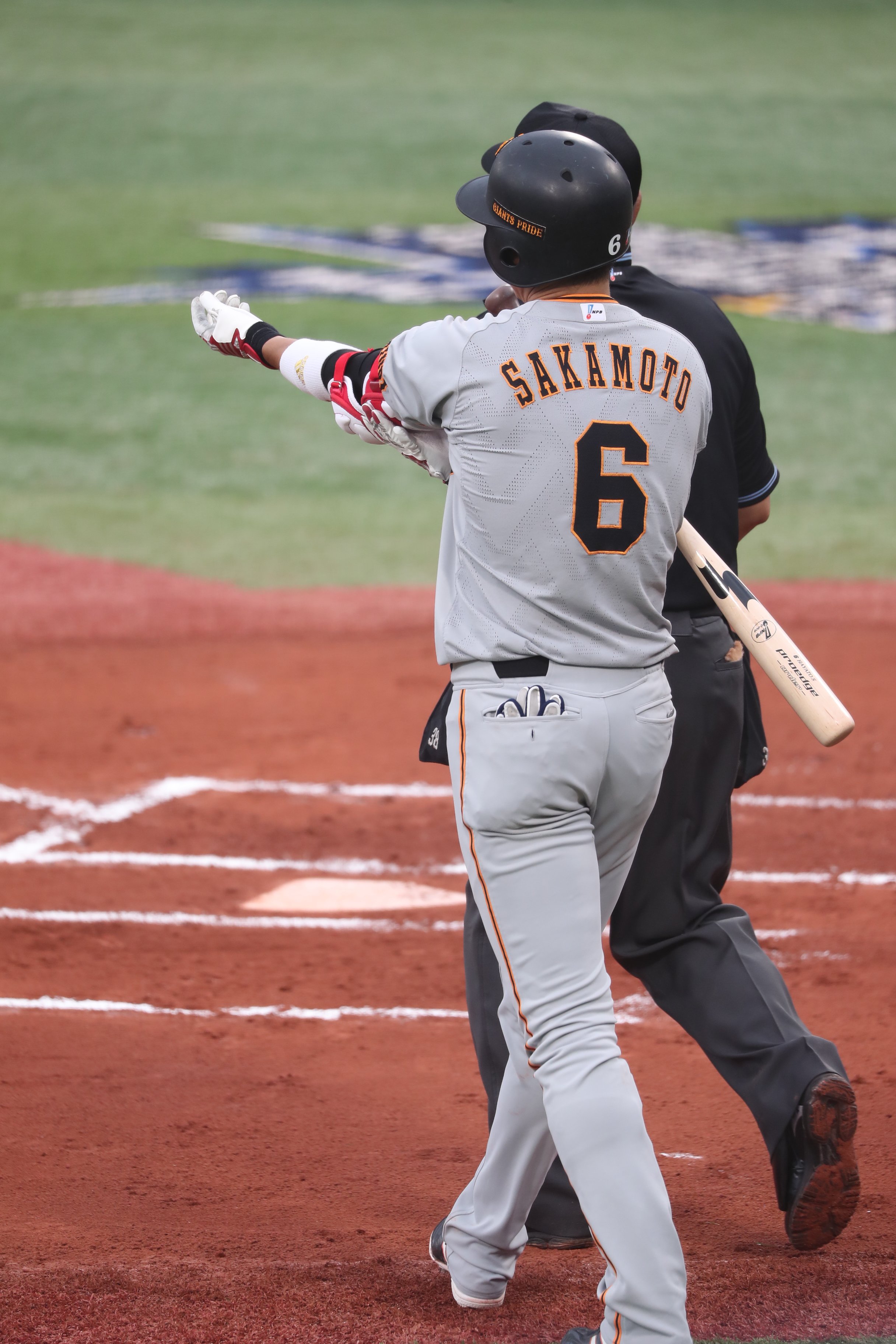 野球エルボーガード、脛当て、ソックス 坂本モデル 野球エルボーガード、脛当て、ソックス 坂本モデル エルボガードフット