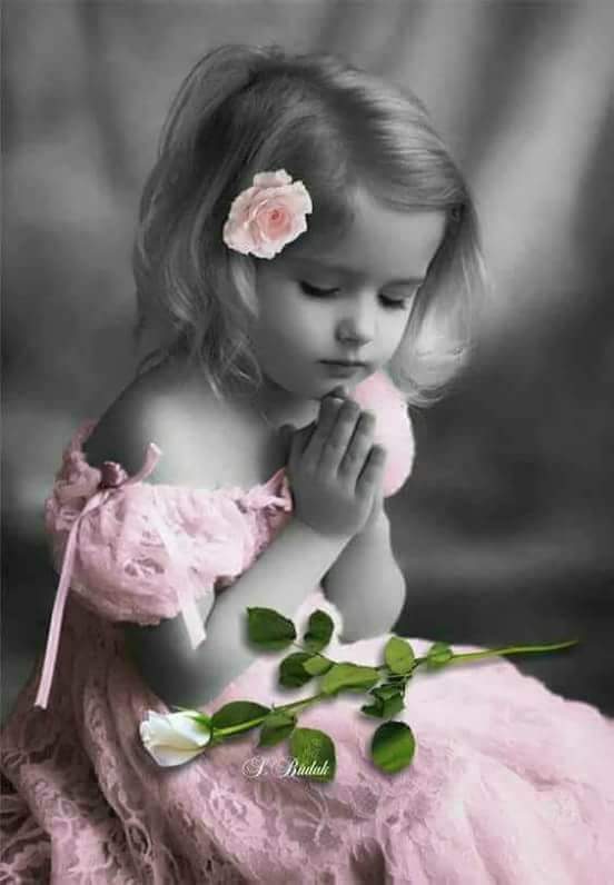 naelly050's tweet photo. اقترب ..ممن يفتحون في روحك نوافذ من نور.
ويقولون لك أنه في وسعك أن تضيء العالم. https://t.co/5LhGdjIbIR