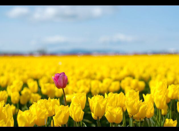 ADHDaspergersuk's tweet photo. As a child I always felt "the odd one out", not so much as an adult until recently when I realised others see me as the odd one out. 😔 https://t.co/mMf1QVLg78