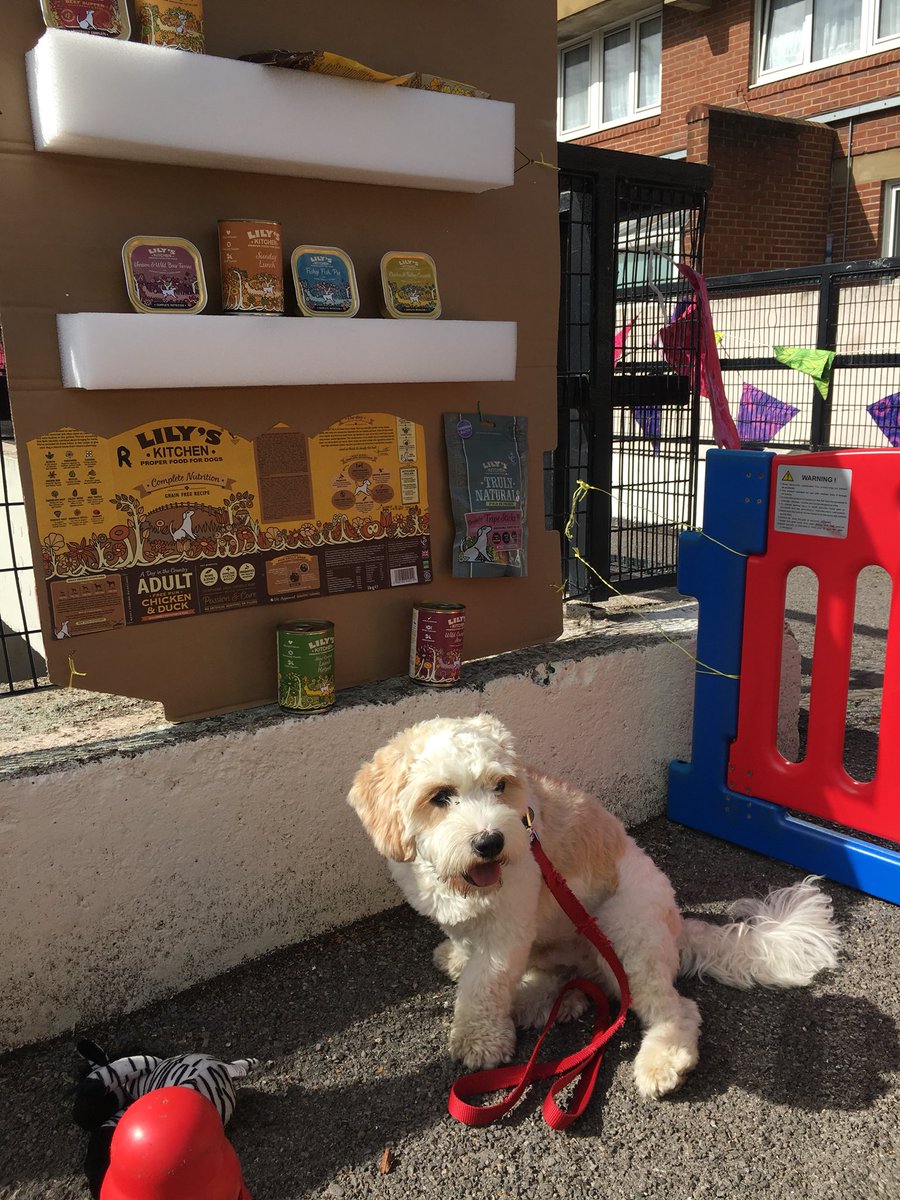 Nw6Webheath's tweet photo. Thanks @lilysfood for supporting @WebheathTra #cavachonalfie #Kilburn https://t.co/QryXQlIOuY