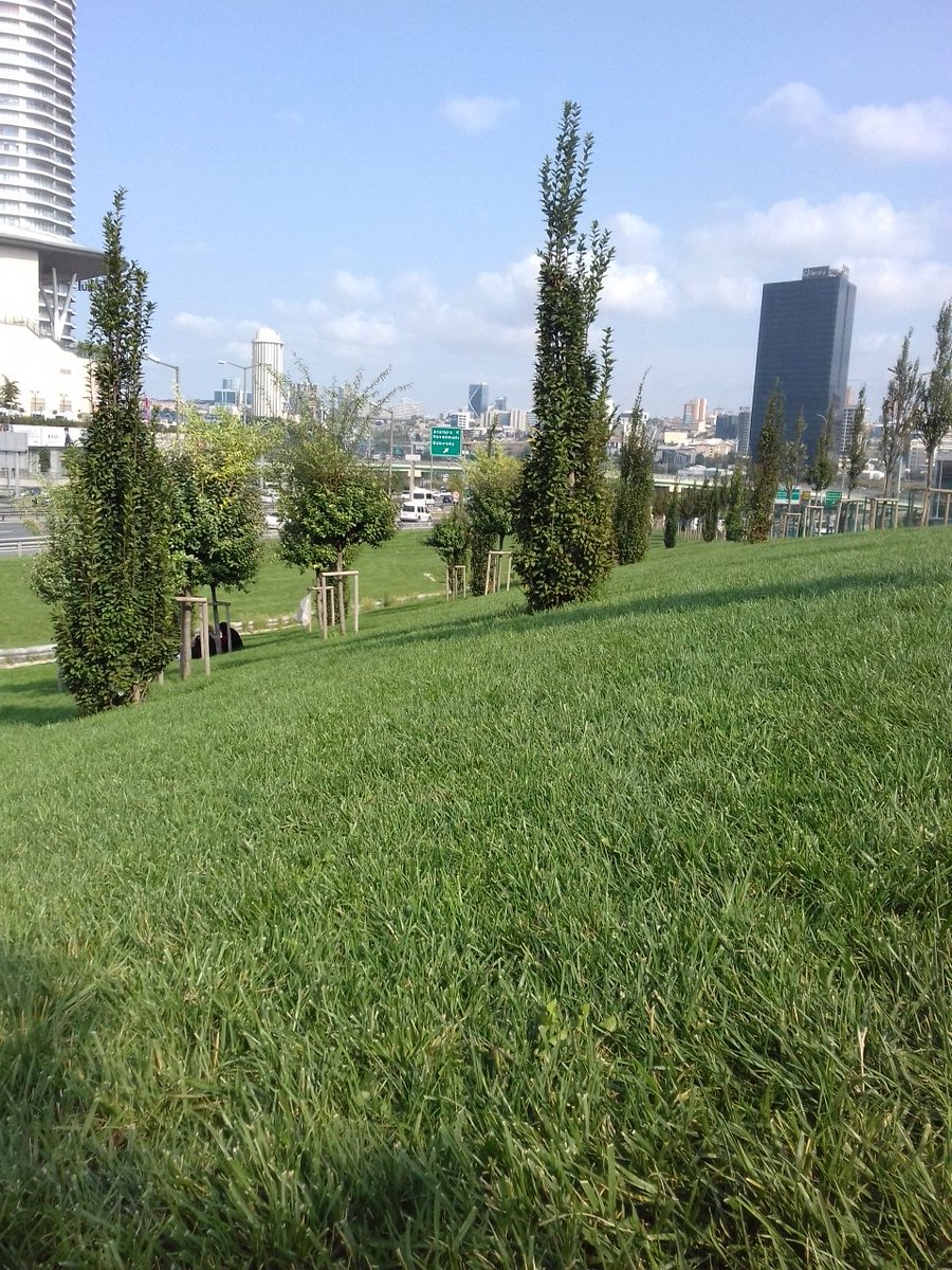 istanbul evli çiftiz (@fatiayten) on Twitter photo 