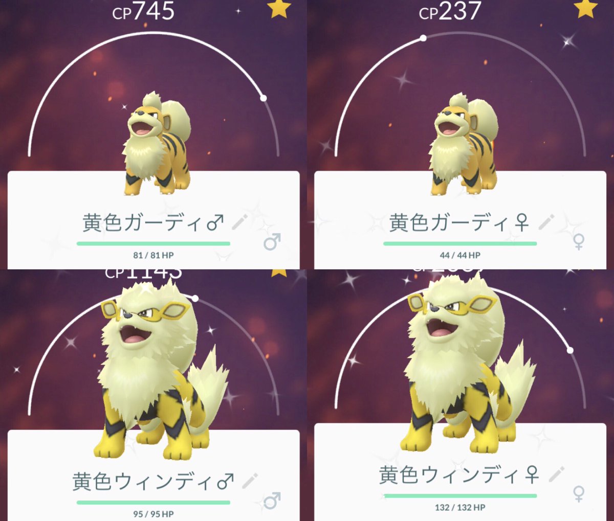 ひかぴか Pa Twitter イシツブテの巣で色違い探しをしていたら ガーディが先に終わりました ポケモンgo Pokemongo 色違いポケモン Shinypokemon 色違いガーディ